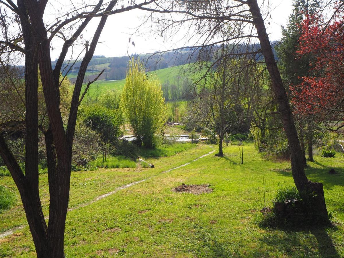 Grand Gite Les Cabanes De Fallot Pour 19 Personnes - Piscine Naturelle L'isle-Bouzon Extérieur photo