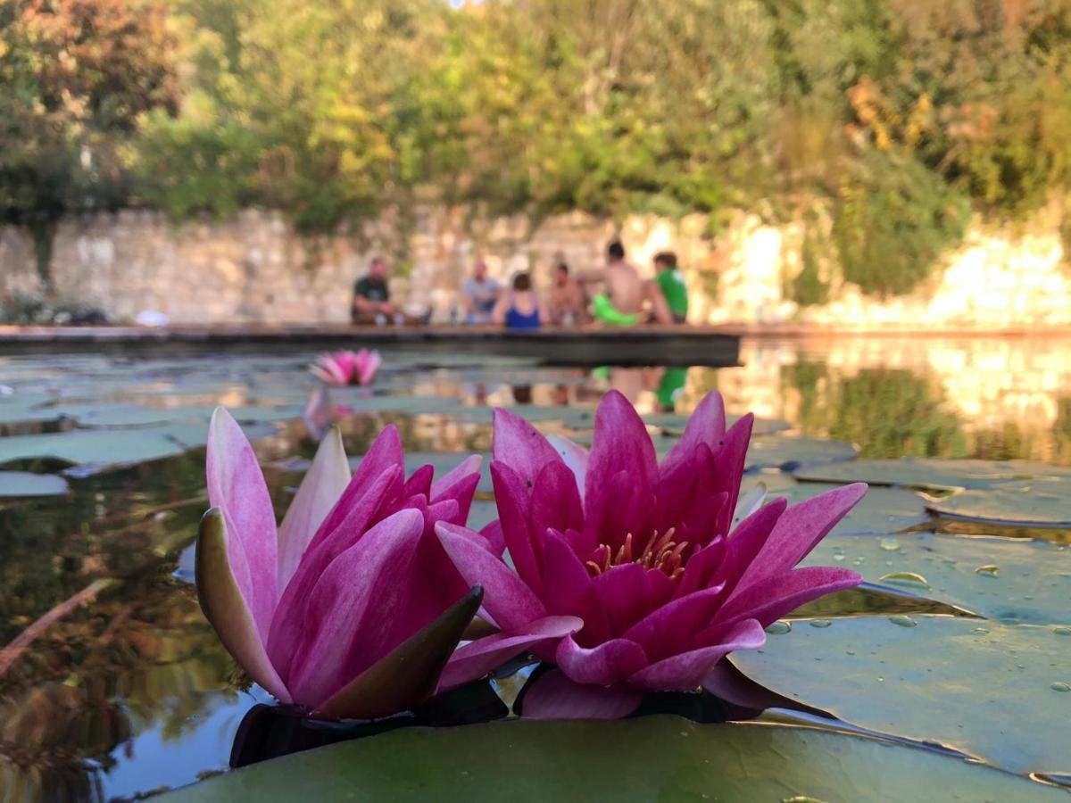 Grand Gite Les Cabanes De Fallot Pour 19 Personnes - Piscine Naturelle L'isle-Bouzon Extérieur photo